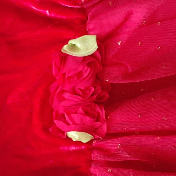 🆕️ Red Toddler Dress, Size 18 months, NWT - Picture 3 of 5